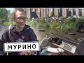 ЧЕРЕЗ МУСОР И ХИМИКАТЫ ПРИПЛЫЛИ В МУРИНО НА ЛОДКЕ.