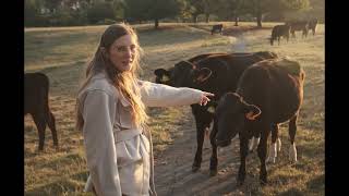 Evening in the Fields