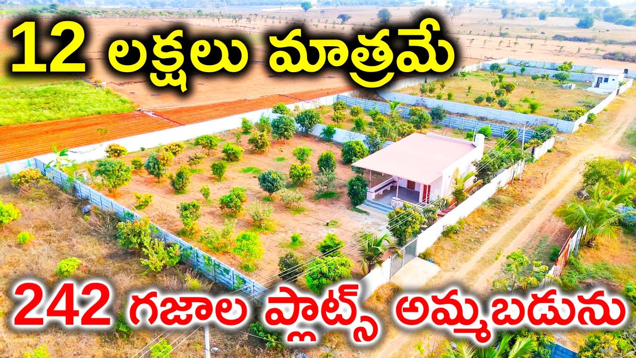 12 Lakhs Only || 242 Sq Yards  || Ready For Construction || Open Plots For Sale || Hyderabad