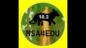 Alg 1 - 10.2 Graphing Cube Root Functions