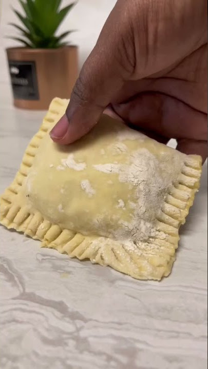 Chicken Pot-Pie Hand Pies! #momlife #recipe #foodie #food #recipes #dinnerrecipe #foodlover #vlog
