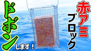手作り巨大カゴで魚を爆寄せする【巨大赤アミカゴで釣り 前編】