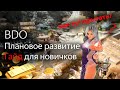 Гайд для новичков | Плановое развитие экипировки | Black Desert Online