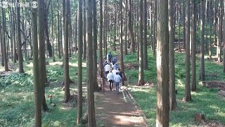 メンバー平均73歳　環境NPOが10年かけて間伐、遊歩道作り　荒れ山が森林公園に