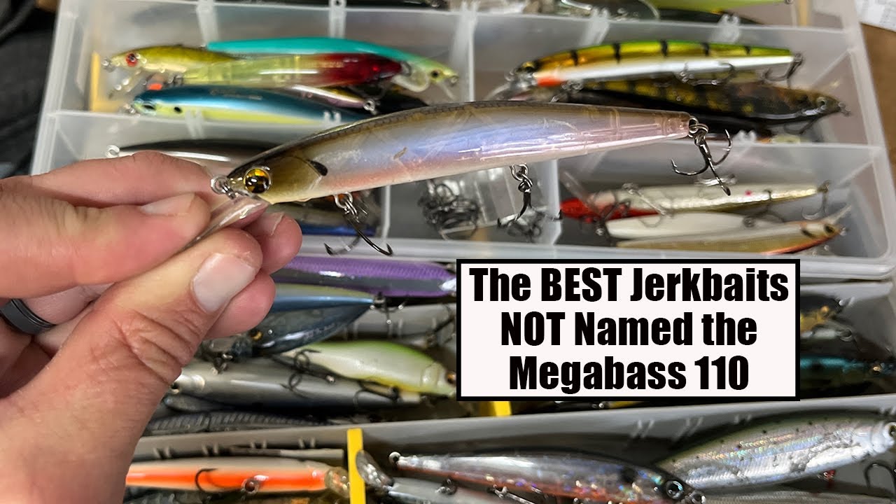 The BEST Jerkbaits NOT Named the Megabass 110 