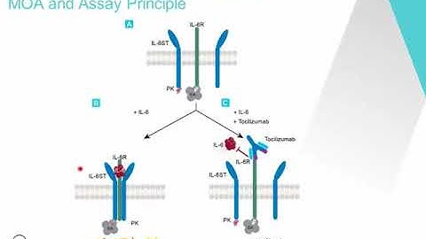 Accelerating Biologics & Biosimilars Development: Case Studies for Potency Bioassays