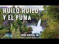 Salto Huilo Huilo y El Puma: Trekking 4 kms 🇨🇱