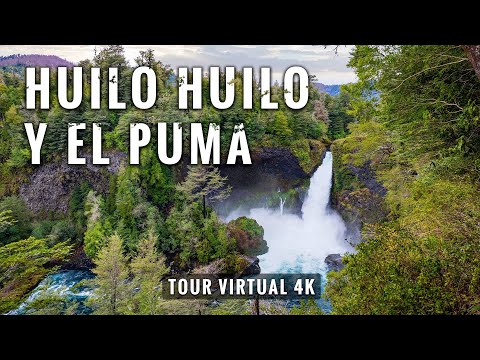 Salto Huilo Huilo y El Puma: Trekking 4 kms ??