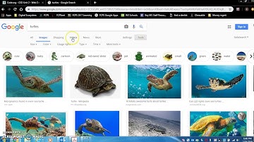 Code.org | Computer Science Discoveries | Unit 2 Lesson 7 part 1 exercises