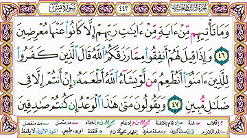 القرآن الكريم مقسم صفحات | الشيخ حاتم فريد | سورة يس | صفحة 443 مكتوبة | مصحف التجويد الملون