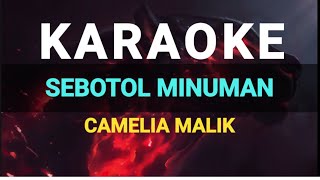 Download Mp3 🔴KARAOKE SEBOTOL MINUMAN Gudang lagu Download Mp3 🔴KARAOKE SEBOTOL MINUMAN