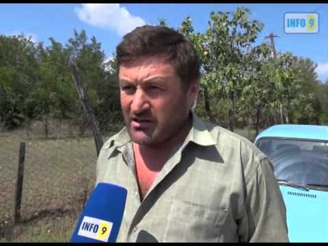 წინასაარჩევნო შეხვედრები