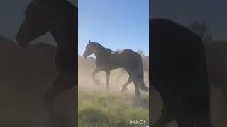 картинка: хэерле кичлэр бн дусларым,якыннарым!