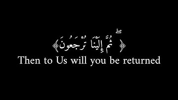 : كُلُّ نَفْسٍ ذَائِقَةُ الْمَوْتِ ۗ  [ سورة  العنكبوت - الآية 57.](  القارئ عبد الرحمن مسعد )