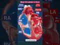 Can you identify the parts of a beating heart. It's amazing how our heart pumps the blood. #anatomy
