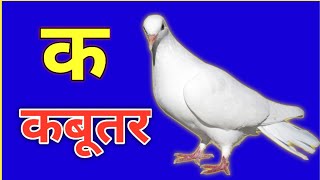 K Se Kabutar Song | Kh Se Khargosh | Hindi Vyanjan | Hindi Consonant | K Se Gya Tak Vyanjan