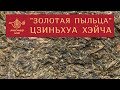 Мастер Чая ● Цзиньхуа Хэйча "Золотая Пыльца"