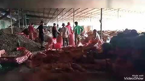 hôm nay đi bốc vác