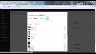 Codecanyon HTML5 Video Player With Bottom Playlist - Manage the Playlist