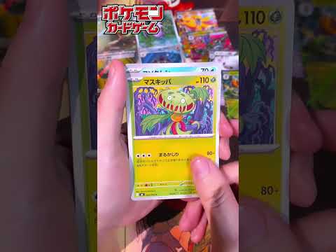ニンジャスピナー あけるよ！！ #ポケモンカード #ポケカ  #pokémon #pokemoncards #shorts