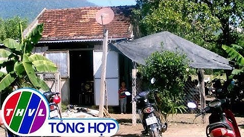THVL | Uống rượu ngâm hạt cây rừng, 3 người tử vong