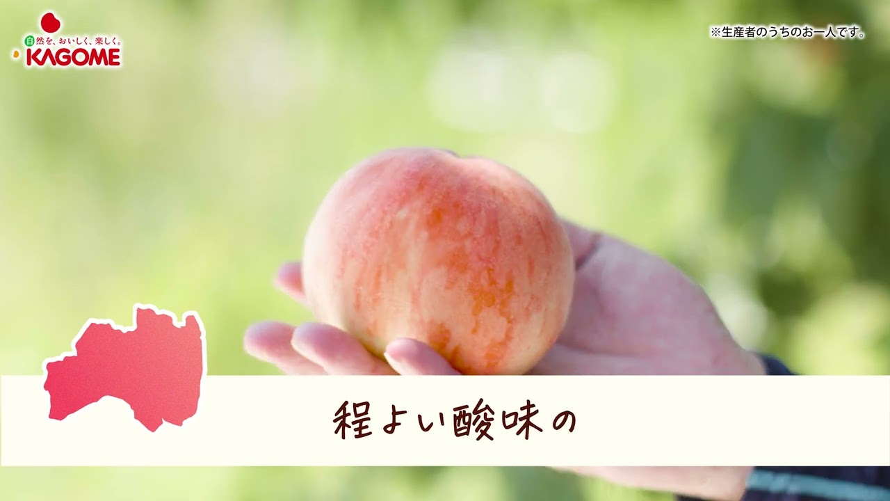 福島県 あかつき桃のめぐみSTORY｜めぐみめぐる Action!｜カゴメ株式会社
