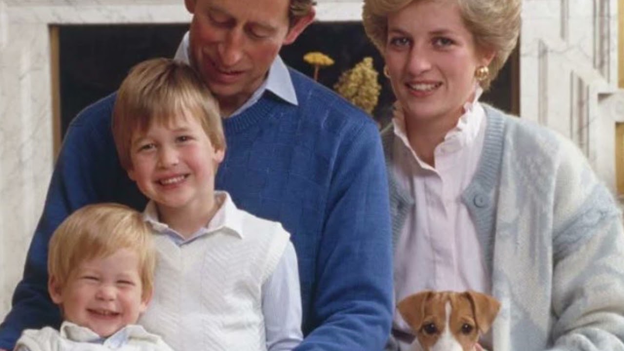 Debate and Diplomacy | Parliamentary Democracy in Britain