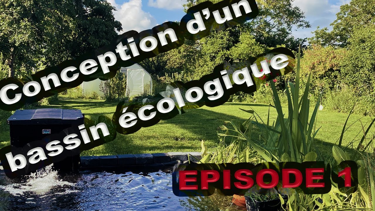 Bassin/Piscine écologique - Ep 1 Conception et étude du projet