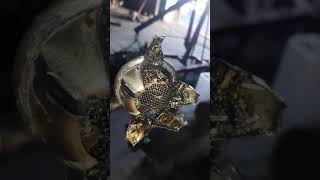 تنضيف شبجه اويل بم اوبترا