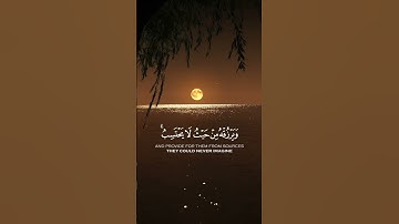 { وَمَن يَتَّقِ اللَّهَ يَجْعَل لَّهُ مَخْرَجًا } سورة الطلاق - الشيخ بدر التركي