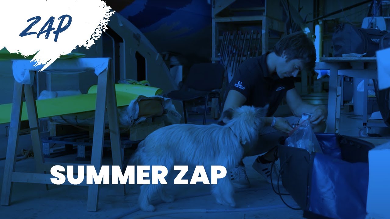 [SUMMER ZAPPING ☀️]