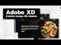 Adobe XD การแปลง Design เป็น Website