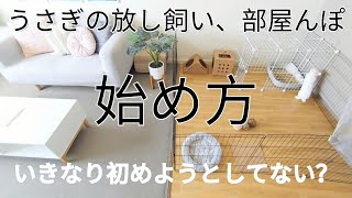 放し飼い、部屋んぽ　始め方