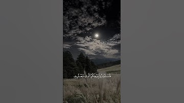 قران كريم #محمداللحيدان #اكسبلور #المصحف #قرآن #راحة_نفسية  الشيخ محمد اللحيدان