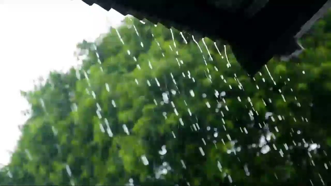 "Relax and Recharge with the Calming Sounds of Rain" #sounds #calming #relax