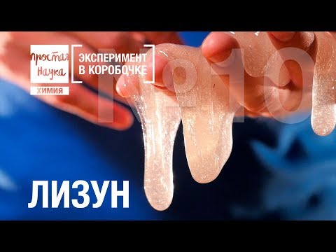 №10 - ЛИЗУН