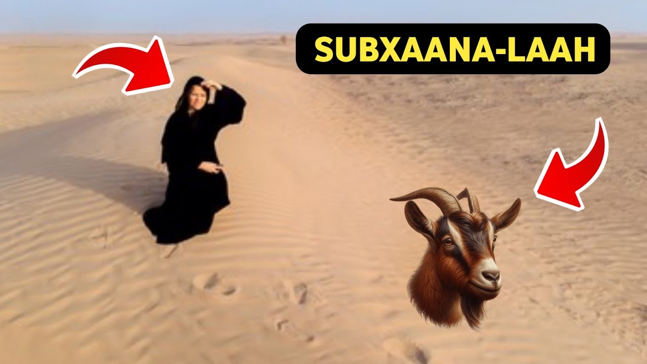 Sheydaamad! || Qisadii iigu layaabka badneyd