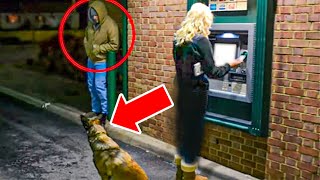 Man Attacks Woman At ATM - Unaware That Her Dog Is A Cop