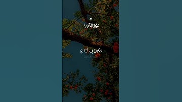 part 3سورة الكهف يوم الجمعه 🩶 #قران #ماهرالمعيقلي #quran #سورة_الكهف #يوم_الجمعه