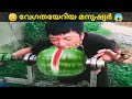      fastest humans in the world  fun  facts malayalam