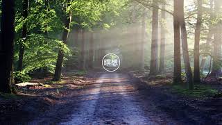 20 Minute Unguided Meditation Music for Study and Concentration
