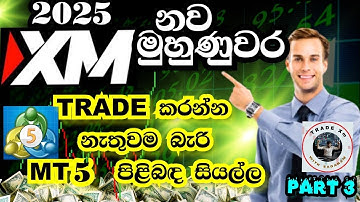 Everything about MetaTrader 5 App Sinhala | Trading with Sadaham