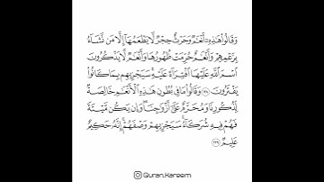 القارئ سعد الغامدي - سورة الأنعام - من الآية 138 إلى الآية 139
