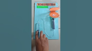easy science project for insectivorous plants by gowry #biology #cbse #insectivorousplants #science