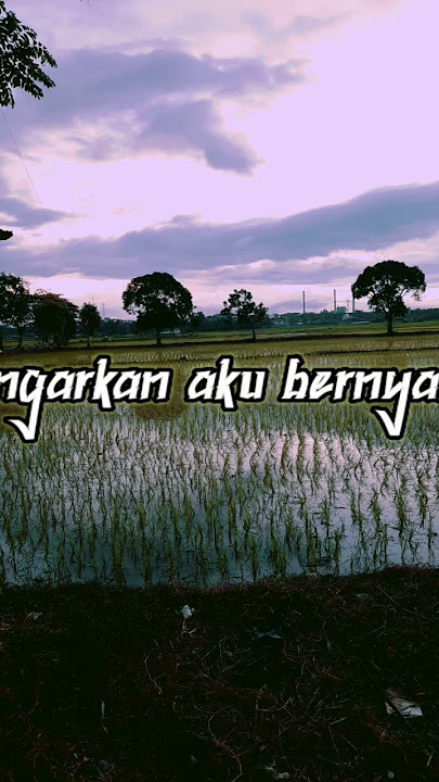 Tipe - X Pembunuh sepi #shorts #storywa #tipex
