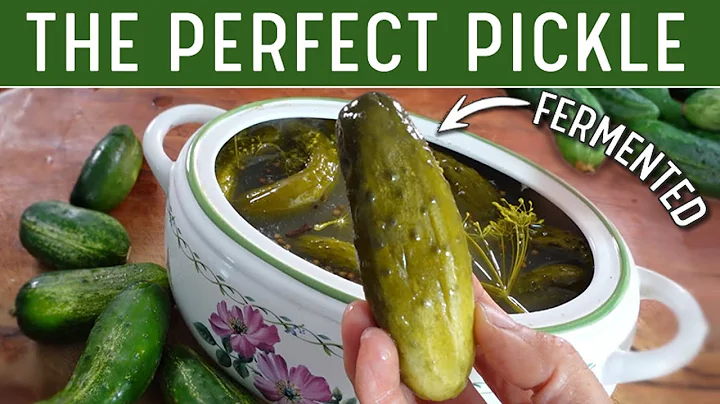 FERMENTED PICKLES - The Best Old Fashioned Dill Pickle Recipe! (No Rambling) - DayDayNews