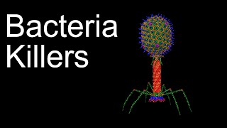 Phages: The Viruses That Rule The World