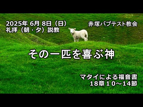その一匹を喜ぶ神　マタイによる福音書18章10～14節　赤塚バプテスト教会（朝・夕）礼拝説教　石堂雅彦牧師