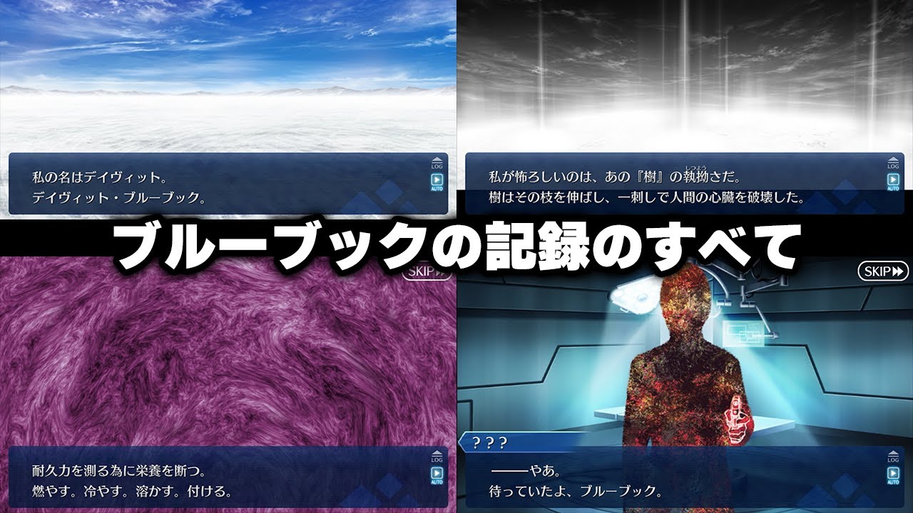 【FGO】デイヴィット・ブルーブックの記録のすべて