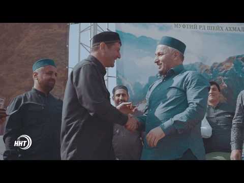 Промо-ролик про скачки